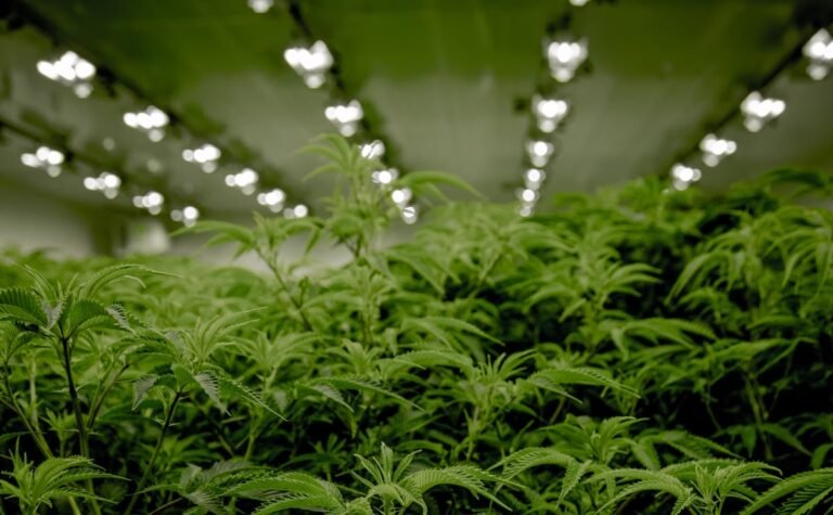 Creative water features and exterior